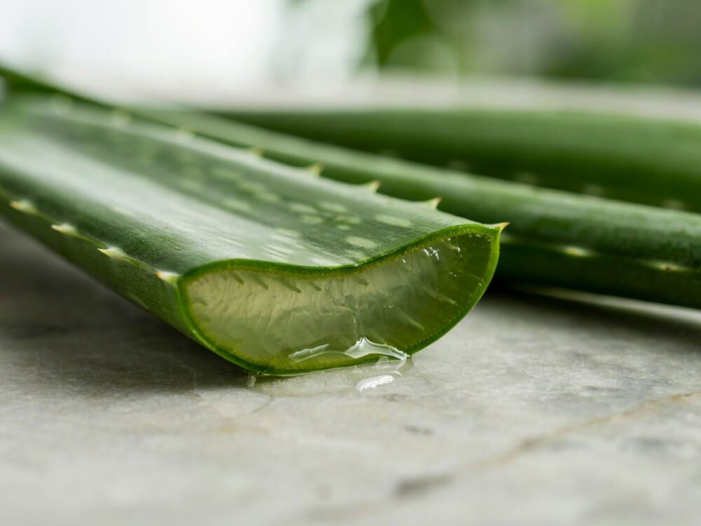 naturalny żel z aloesu